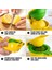 Limon Sıkma 2 In 1 Taze Portakal Narenciye Kireç Limon Sıkacağı Taze Meyve Suyu Baskı Metal El Basın Çıkarıcı Taşınabilir Manuel Meyve Sıkacağı (Yurt Dışından) 2