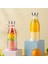 Beyaz Taşınabilir Blender Mini Mikser Elektrikli Meyve Sıkacağı Makinesi Taze Meyve Suyu Blender Smoothie Maker Blender Bardak Şişe Seyahat Mutfak (Yurt Dışından) 3