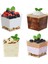 Kaşıklı Bardak 25 Adet 100 Paket 2 Oz Kare Mini Tatlı Bardak Şeffaf Plastik Bardak Küçük Yeniden Kullanılabilir Servis Kasesi Parti Için (Yurt Dışından) 4