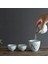 Bir Çay Seti Çanak Çömlek Demlik Seramik Gaiwan Çay Fincanları Çin Çay Seti Pot Taşınabilir Seyahat Çay Seti Çantası C23 (Yurt Dışından) 2