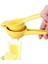 20CM 6cm Limon Sıkacağı Hend Held Sıkacağı Çift Kase Limon Kireç Sıkacağı Manuel Portakal Narenciye Sıkacağı Sıkma Mutfak Manuel Sıkacakları (Yurt Dışından) 5