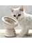 Kedi Mamave Su Kabı 1