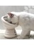 Kedi Mamave Su Kabı 3