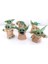 6 Lı Star Wars 3D Baby Yoda Mini Figür Seti Oyuncak 6cm 1