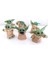 Star Wars 3D Baby Yoda Mini Figür Oyuncak 6cm 1 adet 2