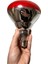 Ledvance 250W Infrared Ampul BR40 E27 Isıtıcılı Lamba Kırmızı Işık (2 Adet) 5