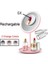 3 Renk Pembe 5x 3 Renk 5 Kez Yeni 2023 Popüler Makyaj Masası Aynası Kadınlar Için Taşınabilir Değişen Işıklar LED USB Katlanabilir Güzellik Kozmetik Aracı (Yurt Dışından) 1