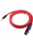 Xlr 3 Pin Dişi - 3,5 mm Amplifikat 2 Metre Için Mono Ses (Yurt Dışından) 4