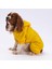 Sarı Kürklü Tulum Yağmurluk Küçük Irk Yağmurluk Köpek Kıyafeti Köpek Yağmurluğu 1
