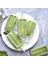 A04 10 Adet Akrilik Dondurma Çubukları Ummer Ev Yapımı Popsicle Aksesuarları Mutfak Modeli Puding Yapımı Dıy Dondurma Çubuğu (Yurt Dışından) 2
