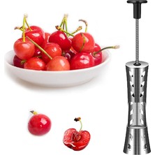 Kırmızı Kiraz Pitter 304 Paslanmaz Çelik Kiraz Çekirdeği Sökücü Aracı 12MM Pitter Boyutu Pres Tipi Stoner Meyve Çukur Tart Mutfak Gadget (Yurt Dışından)