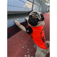 Salya Store Favorite Sound T-Shirt %100 Pamuk Köpek Kıyafeti, Köpek Yazlık KK-133