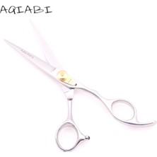 2Danlu A1125N Jin D-D1 6h Saç Makas 6 "440C Aqıabı Kesme Makası Inceltme Makası Profesyonel Berber Makası Kuaförlük Makas Anti-Diş A1125 (Yurt Dışından)