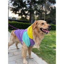 Köpek Kıyafeti, Orta Ve Büyük Irk Köpek Hoodie, Positive 15-30kg