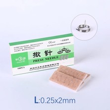 2Danlu 0.25X2MM 100 Adet/kutu Çok Durumlu Kulak Tohumu Akupunktur Kiti Tek Kullanımlık Basın Iğnesi Kulak Tohumları Akupunktur Vaccaria Alçı Iğneleri (Yurt Dışından)