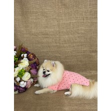 Maria Pet Fashion Köpek  &  Kedi Kıyafeti  &  Atlet  &  Tişört