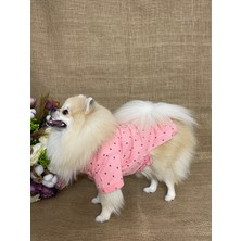 Maria Pet Fashion Köpek  &  Kedi Kıyafeti  &  Atlet  &  Tişört