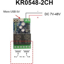 USB 5V/DC7-48V Ewelink Akıllı Wifi Anahtarı Evrensel Röle Modülü 2ch Kablosuz Anahtar Zamanlayıcı Telefon Uzaktan Kumandası (Yurt Dışından)