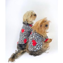 Kemique Animal Leo Print Sweat Red Sweat Köpek Kazağı Köpek Poları