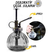 Dekoratif Cam Bitki Sulama Şişesi Ebristar Design 715727
