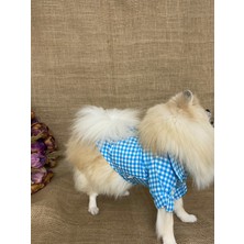 Maria Pet Fashion Köpek Kedi Kıyafeti & Elbisesi & Gömlek