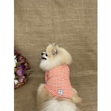 Maria Pet Fashion Köpek Kedi Kıyafeti & Elbisesi & Gömlek