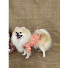 Maria Pet Fashion Köpek Kedi Kıyafeti & Elbisesi & Gömlek