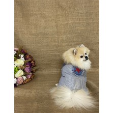 Maria Pet Fashion Köpek Kedi Kıyafeti & Elbisesi & Gömlek