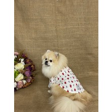 Maria Pet Fashion Köpek Kedi Kıyafeti & Elbisesi & Gömlek