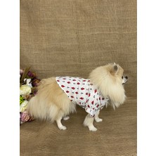 Maria Pet Fashion Köpek Kedi Kıyafeti & Elbisesi & Gömlek