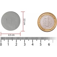 Rfgate Metal Üstü Nfc Etiket 25MM Dia (10 Adet)