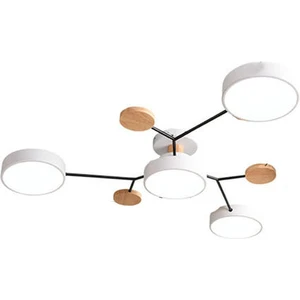 Oturma Odaları Için Şık Günlük LED Tavan Işığı - Minimalist ve Verimli (Yurt Dışından)