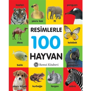 Resimlerle 100 Hayvan (Küçük Boy)