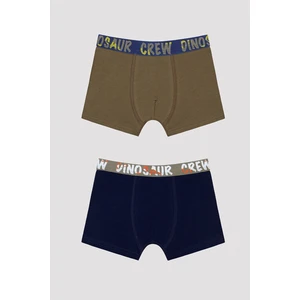 Erkek Çocuk Dinosur Crew Slogan Baskılı Boxer