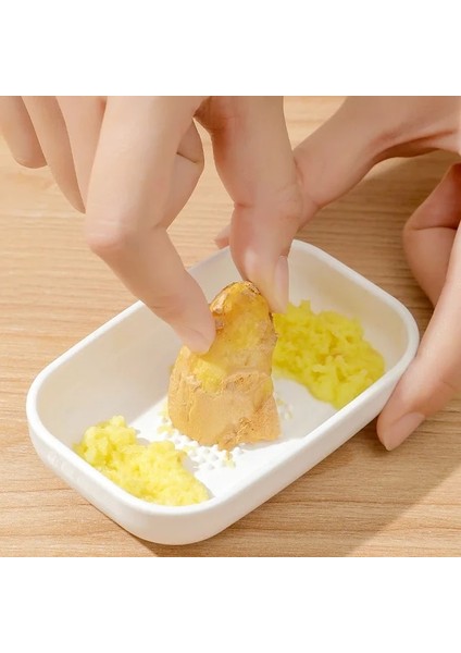 Tip I (Abs) Sarımsak Presi Kırıcı Kıyma Mutfak Paslanmaz Çelik Sarımsak Parçalayıcı Sıkacağı Manuel Pres Taşlama Aracı Mutfak Aksesuarları (Yurt Dışından)