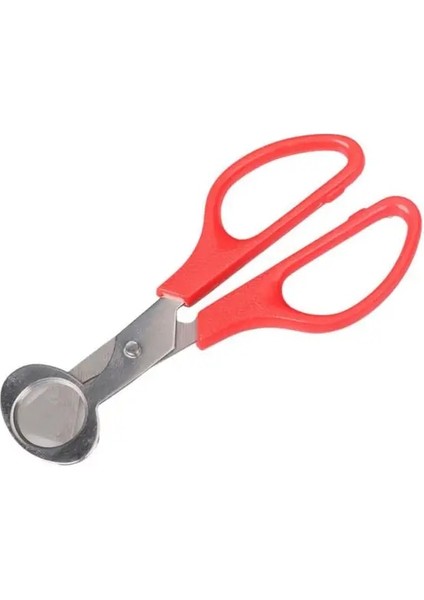 07 Yumurta Makas Paslanmaz Çelik Bıldırcın Yumurtası Makas Açacağı Ham Yumurta Açık Bıçak Clipper Yaratıcı Alet Takımı Mutfak Aksesuarları Için (Yurt Dışından)
