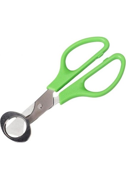 01 Yumurta Makas Paslanmaz Çelik Bıldırcın Yumurtası Makas Açacağı Ham Yumurta Açık Bıçak Clipper Yaratıcı Alet Takımı Mutfak Aksesuarları Için (Yurt Dışından)