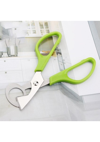 01 Yumurta Makas Paslanmaz Çelik Bıldırcın Yumurtası Makas Açacağı Ham Yumurta Açık Bıçak Clipper Yaratıcı Alet Takımı Mutfak Aksesuarları Için (Yurt Dışından)