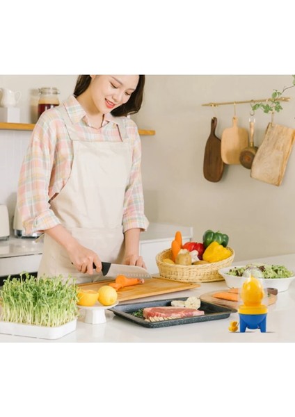 2'si 1 Arada Korunmuş Yumurta Ayırıcı Dilimleyici Yumurta Kesici Kasırga Altın Yumurta Karıştırıcı Yaratıcı Karıştırıcı Yumurta Karıştırma Çalkalayıcı Manuel Karıştırıcı (Yurt Dışından) fırsatları
