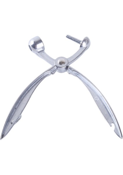 Gümüş Kiraz Çekirdeği Sökücü 18 cm Alüminyum Alaşımlı Kiraz Zeytin Pitter Tart Stoner Çukurları Meyve Sökücü Sıkmak El Aracı (Yurt Dışından)
