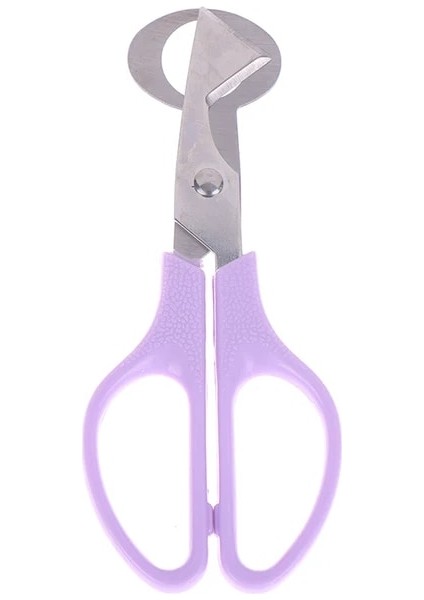 Pp Bıldırcın Yumurtası Makas Kuş Yumurtası Makas Paslanmaz Çelik Yumurta Kesiciler Yumurta Kabuğu Kesiciler Yumurta Açacağı Mutfak El Aletleri Makas (Yurt Dışından)