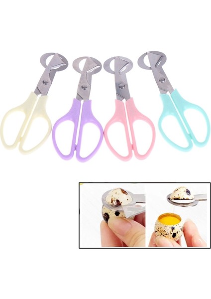 Pp Bıldırcın Yumurtası Makas Kuş Yumurtası Makas Paslanmaz Çelik Yumurta Kesiciler Yumurta Kabuğu Kesiciler Yumurta Açacağı Mutfak El Aletleri Makas (Yurt Dışından) fiyatları