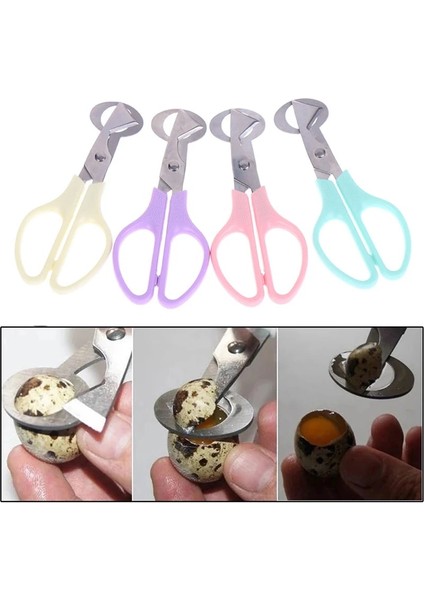 Pp Bıldırcın Yumurtası Makas Kuş Yumurtası Makas Paslanmaz Çelik Yumurta Kesiciler Yumurta Kabuğu Kesiciler Yumurta Açacağı Mutfak El Aletleri Makas (Yurt Dışından) indirimleri