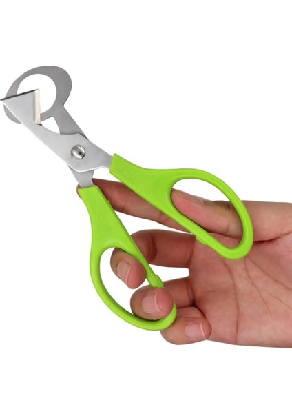 05 Güvercin Bıldırcın Açık Çatlak Küçük Yumurta Kabuğu Makas Kesim Kuş Yumurta Kabuğu Ayırıcı Puro Kesici Açıcı Aracı Clipper Kraker Bıçak Kesme (Yurt Dışından)