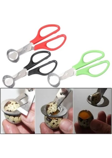 Mor Güvercin Bıldırcın Açık Çatlak Küçük Yumurta Kabuğu Makas Kesim Kuş Yumurta Kabuğu Ayırıcı Puro Kesici Açıcı Aracı Clipper Kraker Bıçak Kesme (Yurt Dışından)