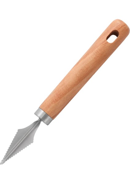 Paslanmaz Çelik Meyve Kesme Karpuz Artefakt Meyve Topu Buz Yuvarlak Kaşık Kesme Meyve Segmentasyonu Akşam Yemeği Yer Paspasları 6 (Yurt Dışından) indirimleri