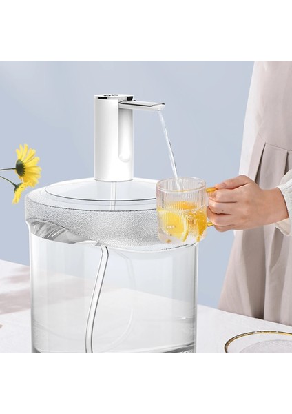 Gri B 1200MAH Otomatik Elektrikli Su Sebili Akıllı Su Pompası Taşınabilir Mini Elektrikli Galon Pompası Mutfak Için Namlulu Su Elektrikli Pompa (Yurt Dışından) modelleri