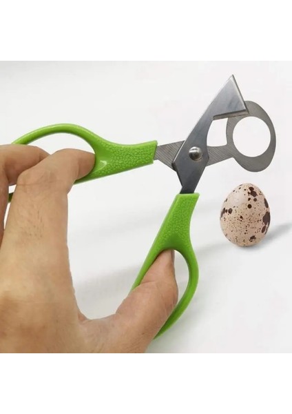 Sarı Bıldırcın Yumurtası Makas Açık Çatlak Küçük Yumurta Kabuğu Ayırıcı Kesici Açıcı Aracı Clipper Kraker Bıçak Kesme Mutfak Aksesuarları (Yurt Dışından)