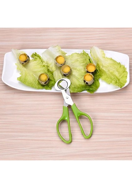 06 Yaratıcı Paslanmaz Çelik Bıldırcın Yumurtası Makas Kavrulmuş Kuş Yumurta Makas Renkli Yumurta Kabuğu Açılış Bölücü Mutfak Pişirme Araçları (Yurt Dışından) indirimleri