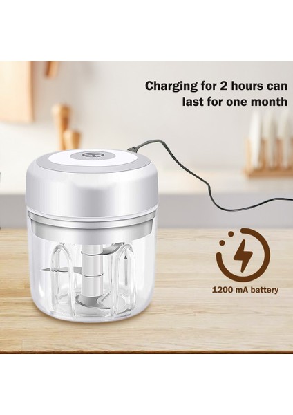 Yeşil (100 Ml) Set 100/250 ml Mini Elektrikli Sarımsak Kıyıcı USB Şarj Zencefil Ezici Makinesi Sağlam Dayanıklı Biber Sebze Kırıcı Mutfak Gereçleri (Yurt Dışından)